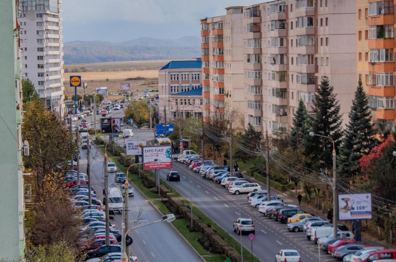 Butterfly Apartment Sibiu Exterior photo